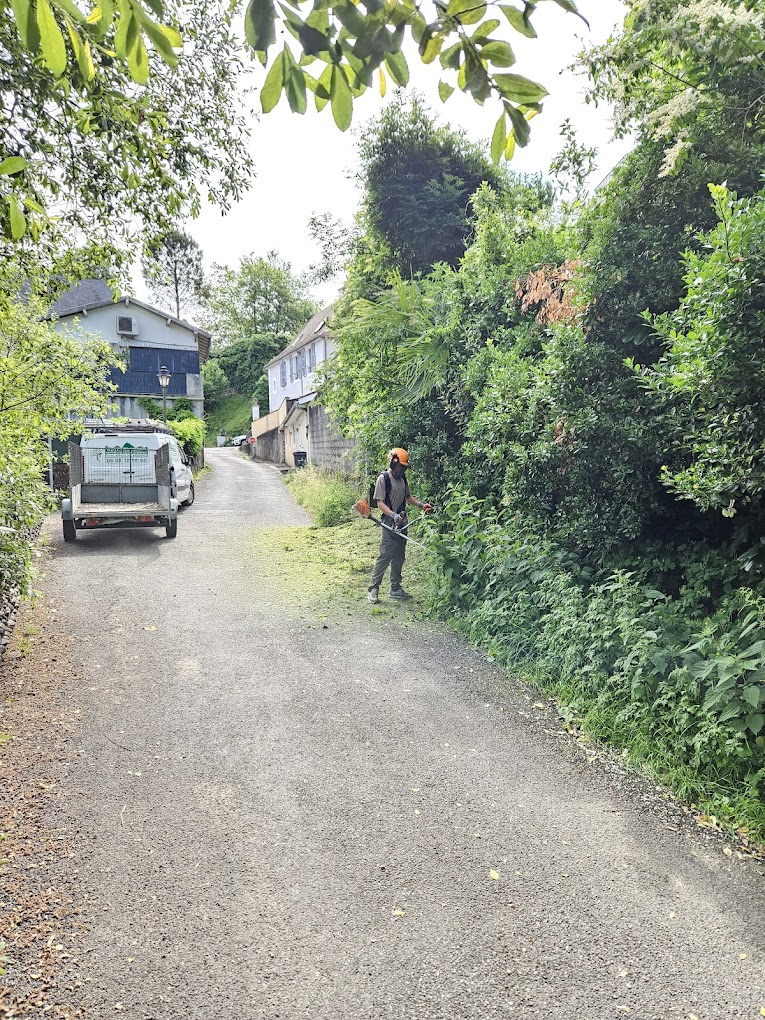 Paysagiste équipé de protections utilisant une débroussailleuse pour nettoyer les abords d'une propriété à Orthez, avec le camion de l'entreprise Kevin Élagage garé à proximité.