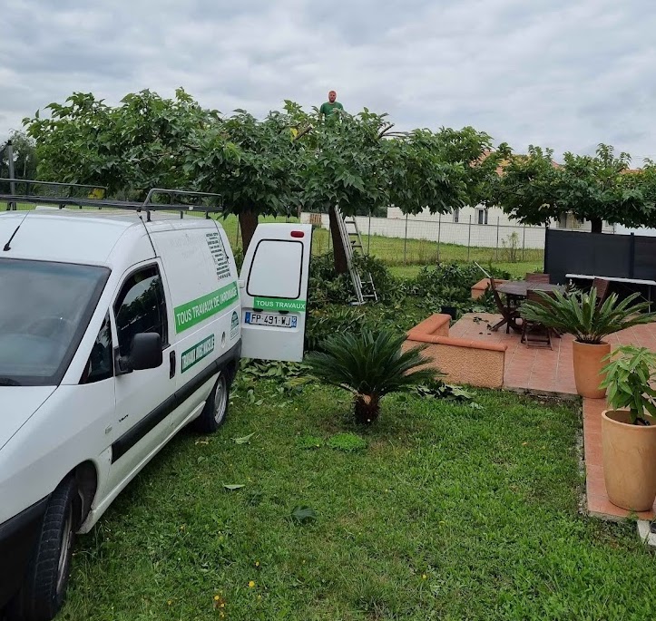 Prestation complète d'entretien de jardin réalisée par l'entreprise Kevin Élagage 64 près de Pau. Un jardinier-élagueur qualifié, visible en haut de l'échelle, procède à la taille douce de deux grands arbres parasols. Au premier plan, le fourgon d'intervention blanc de l'entreprise est stationné dans le jardin, avec la terrasse et des plantes en pot (cycas) visibles.