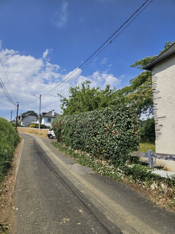 image000002 2
