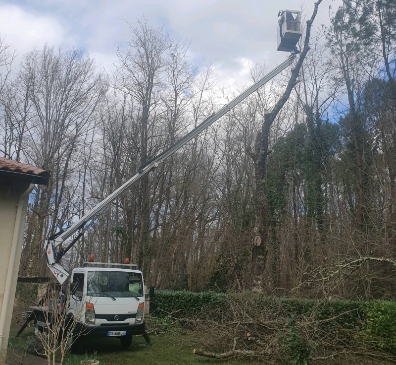 Chantier d'élagage de grande hauteur réalisé par l'entreprise Kevin Élagage à Pau. Un camion-nacelle blanc est stationné dans un jardin près d'une maison, déployant son bras télescopique jusqu'à la cime des arbres pour une coupe sécurisée. Des branches coupées sont visibles au sol.